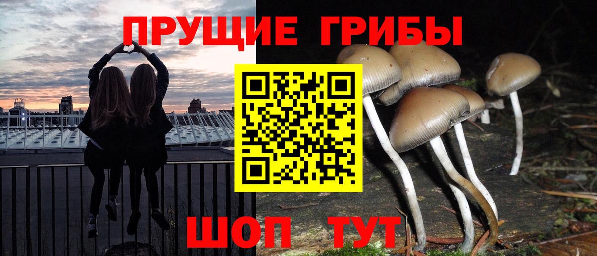 Галлюциногенные грибы мицелий Куйбышев