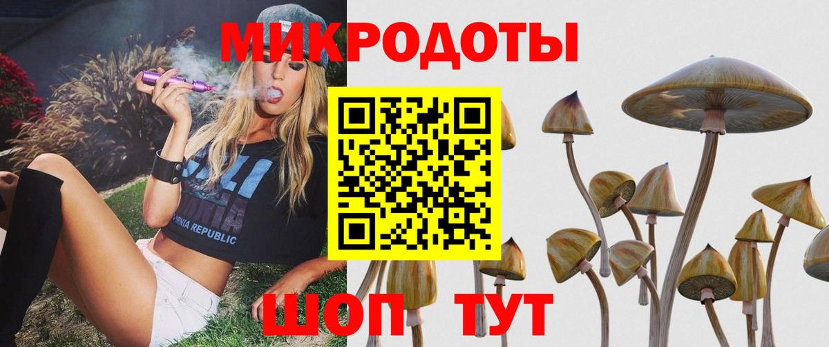 Куйбышев  Галлюциногенные грибы мухоморы  Вход с VPN 